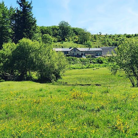Ranch Du Haut-Languedoc La Salvetat-sur-Agout エクステリア 写真